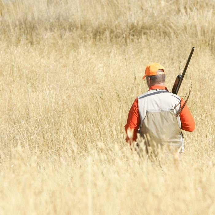 What Makes a Great Hunting Outfitter?